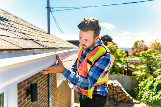 Best Storm Damage Roof Repair  in Taylorvle, IL
