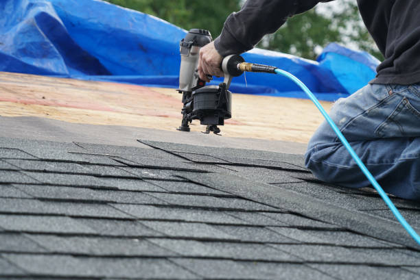 Best Gutter Installation and Repair  in Taylorvle, IL