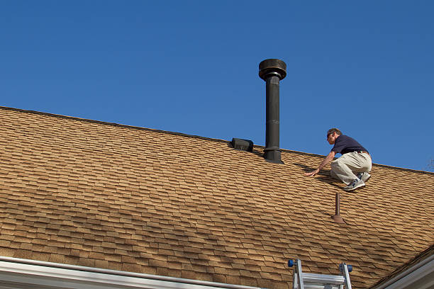Best Wood Shake Roofing  in Taylorvle, IL