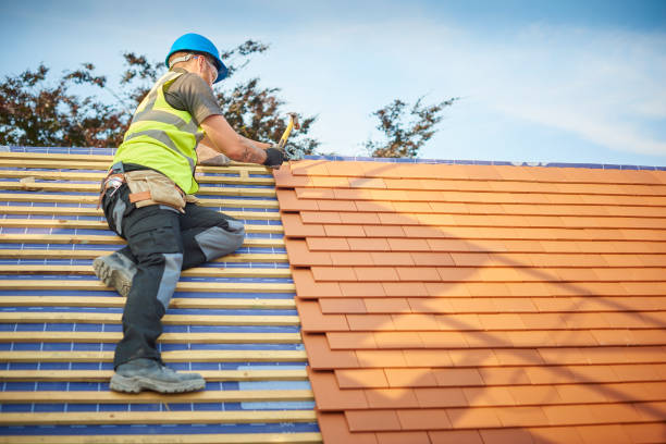 Best Chimney Flashing Repair  in Taylorvle, IL