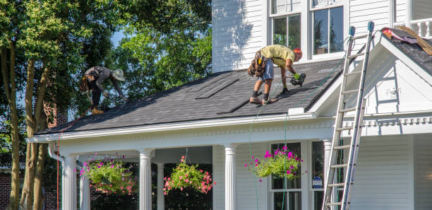Best Commercial Roofing Services  in Taylorvle, IL
